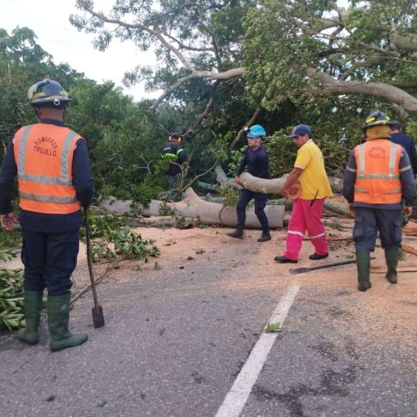 Vientos huracanados y lluvia con granizo causaron desprendimiento de techos en Valera