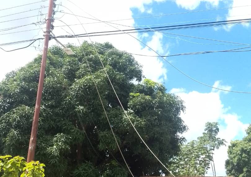 Cayeron dos guayas de alta tensión en la calle 11 del sector 4 de Febrero parte alta