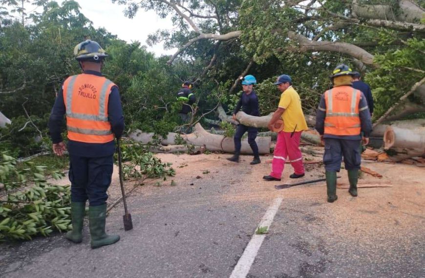 Vientos huracanados y lluvia con granizo causaron desprendimiento de techos en Valera