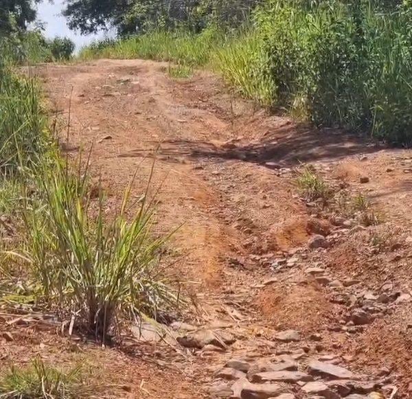 En el Eje Caroachi asentamiento campesino La Fortuna están a la buena de Dios