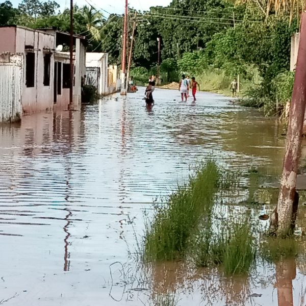 Familias damnificadas por desborde del río Cañafístola esperan ser reubicadas 