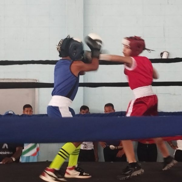 Asociación de Boxeo del estado Bolívar realizará eliminatorias municipales categoría Infantil