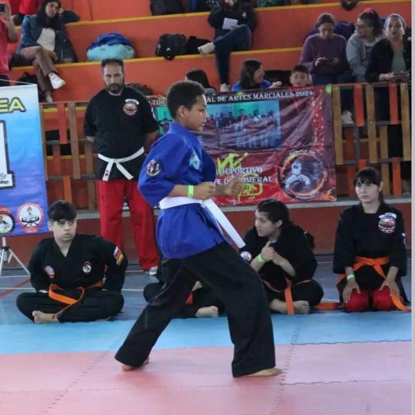 Guayanés ganó oro en combate y Kata de karate en Chile