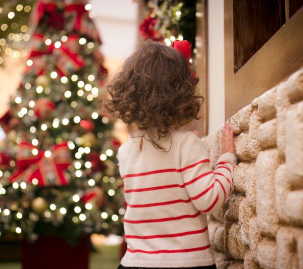 ¿Por qué celebramos la navidad?
