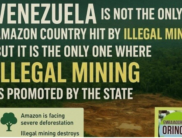 Embajadores del Orinoco exige suspender a Venezuela de la OTCA por violaciones ambientales en la Amazonía