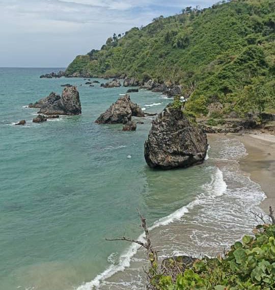 La protección de las costas asegurará el futuro ambiental y económico de Venezuela