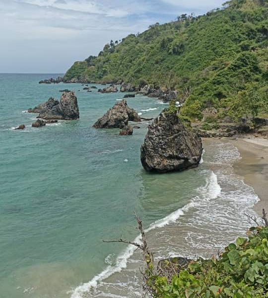 La protección de las costas asegurará el futuro ambiental y económico de Venezuela