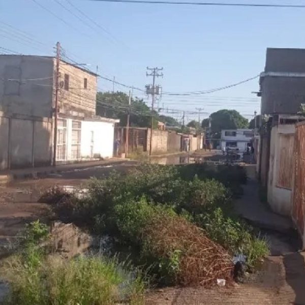 Urbanización La Teodokilda: dos décadas de abandono y deterioro