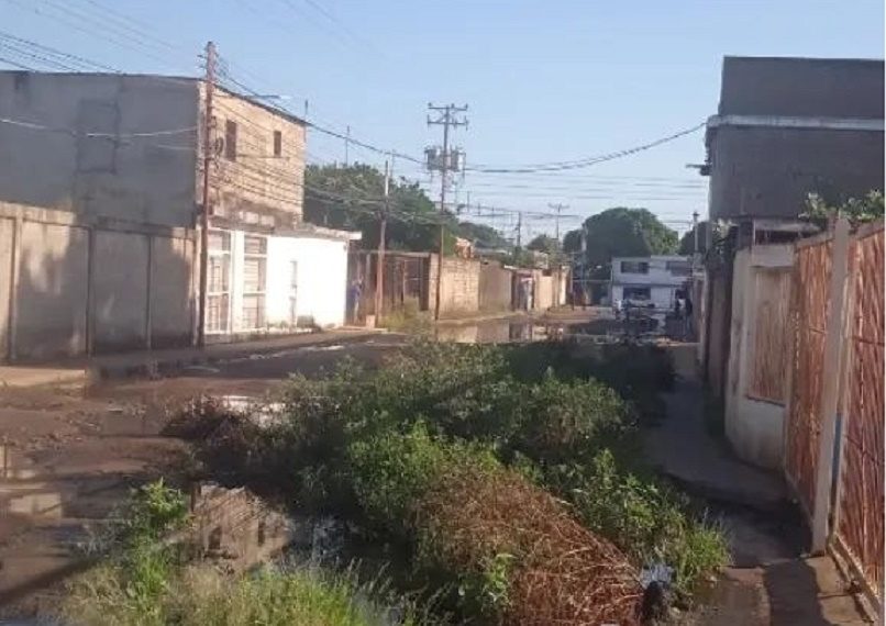 Urbanización La Teodokilda: dos décadas de abandono y deterioro