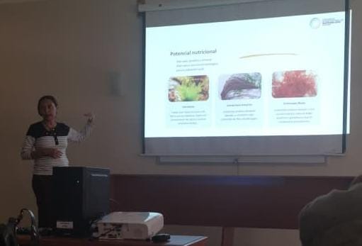 En La Guaira: Identificados cuatro géneros de algas con alto valor nutricional