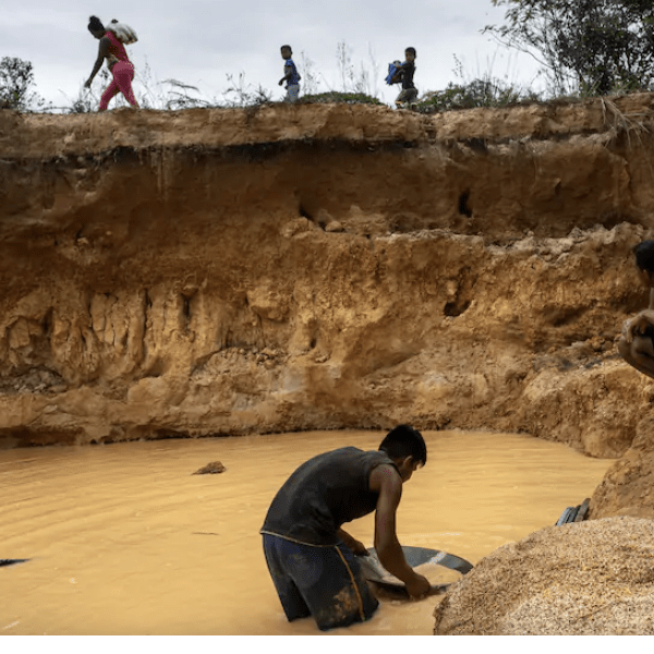 SOS Orinoco: licencia de EEUU para comerciar oro venezolano «blanquea riqueza criminal»