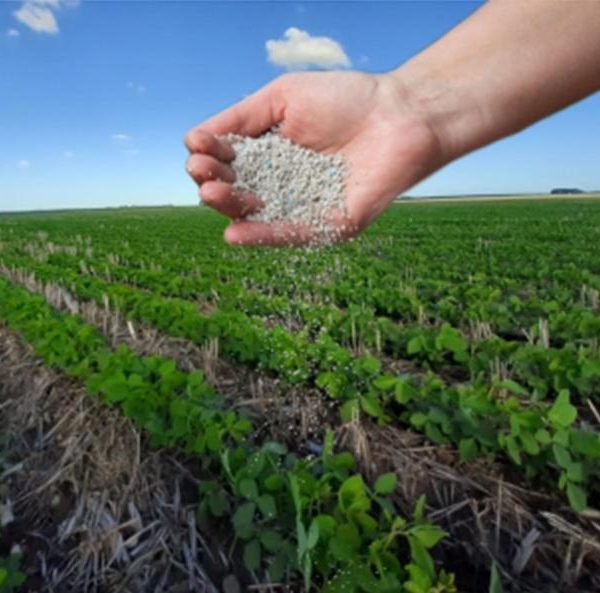Crisis mundial de fertilizantes impactará a Venezuela alerta la Sociedad de Agrónomos