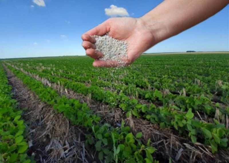 Crisis mundial de fertilizantes impactará a Venezuela alerta la Sociedad de Agrónomos